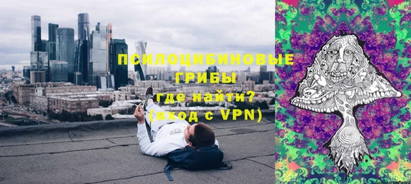 прущие грибы Зерноград