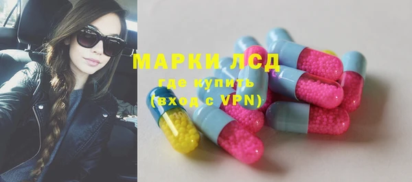 прущие грибы Зерноград