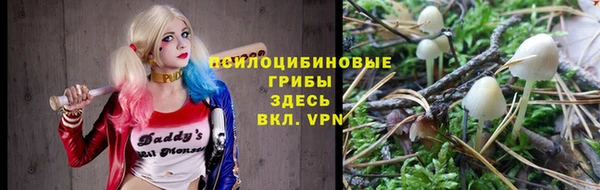 прущие грибы Зерноград