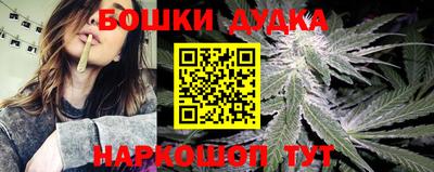дживик Кимры