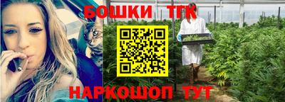 индика Абинск