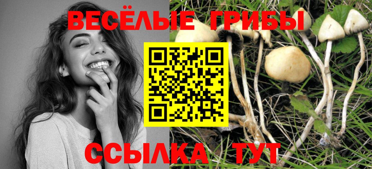 Галлюциногенные грибы Magic Shrooms Славянск-на-Кубани