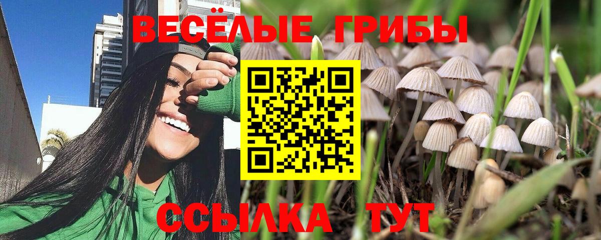 Псилоцибиновые грибы MAGIC MUSHROOMS  Славянск-на-Кубани  Галлюциногенные грибы мицелий 
