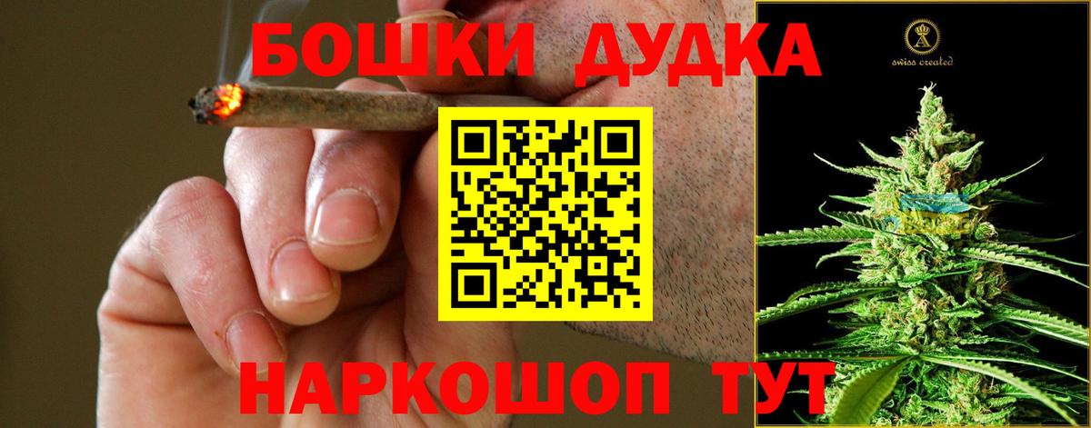 Бошки марихуана план  Славянск-на-Кубани  Конопля Amnesia  Марихуана ГИДРОПОН 